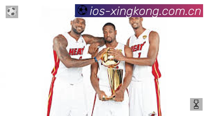 奖项证书